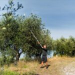 TELESKOPSKE ŠKARE ZA GRANE 1,7 - 2,8 m - Slika 3