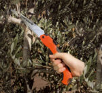 PILA TORNADO 180 - Slika 5