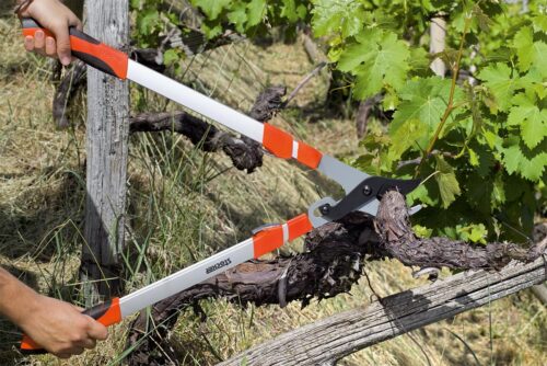 TELESKOPSKE ŠKARE ZA GRANE BYPASS - Slika 3