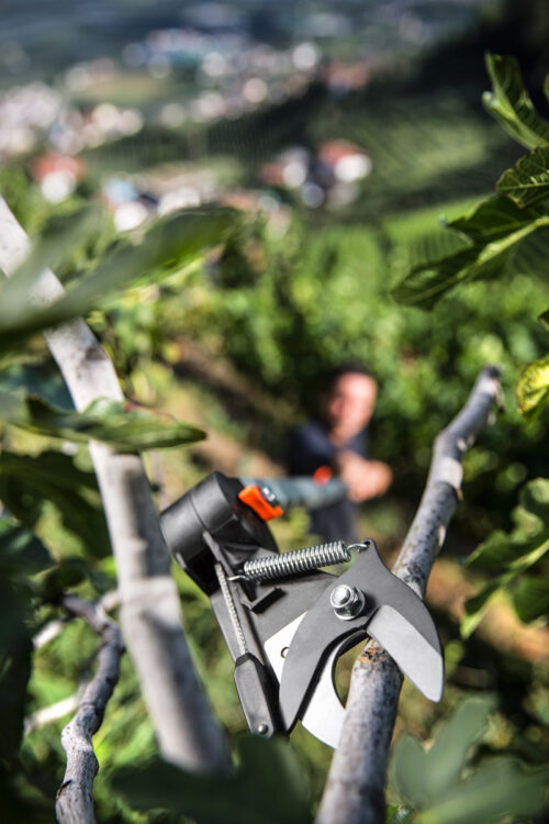 TELESKOPSKE ŠKARE ZA GRANE 2,3 - 4,0 m - Slika 6
